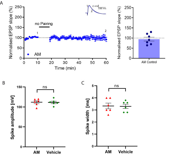 Figure 5—figure supplement 1.