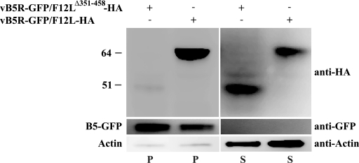 FIG. 9.