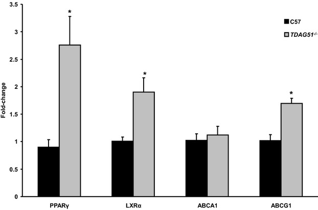 Figure 11.