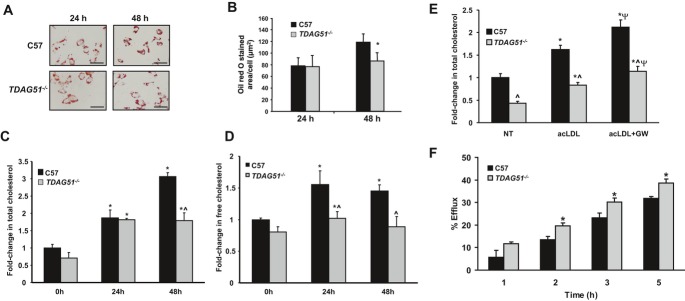 Figure 13.