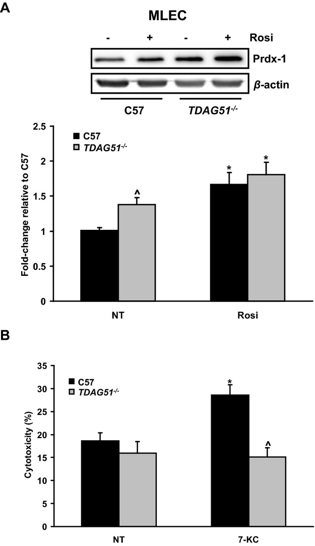 Figure 15.