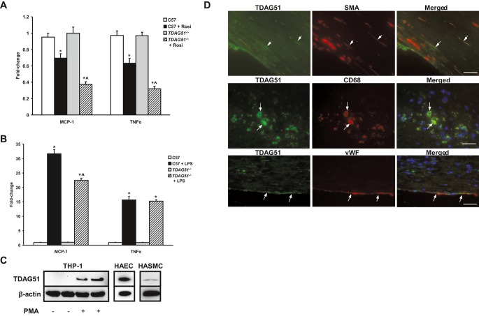 Figure 12.