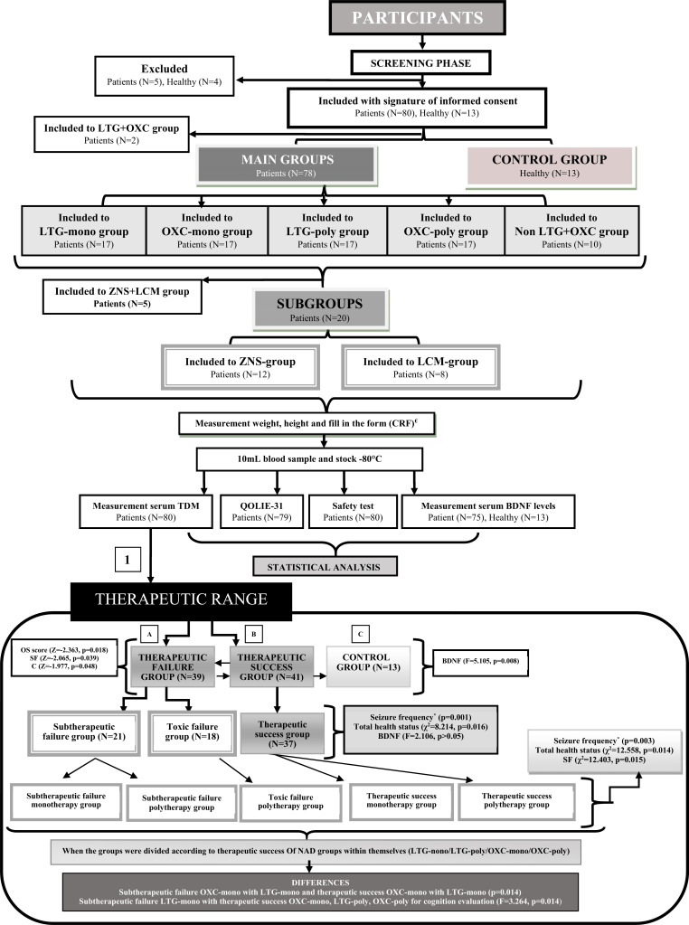 Fig. (1)