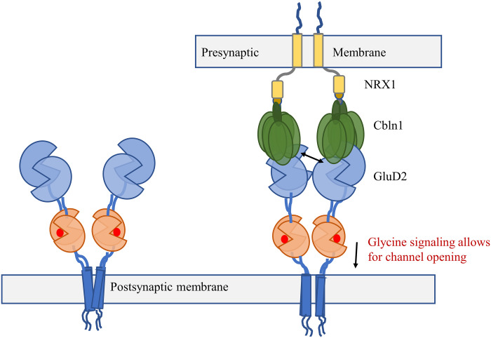 Fig. 6.