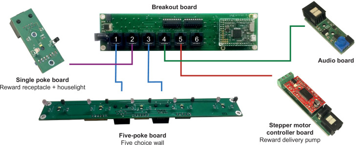 Figure 6—figure supplement 1.