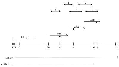 FIG. 1