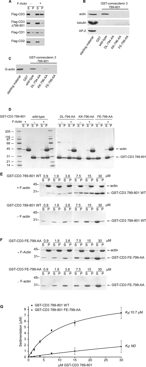 FIGURE 5: