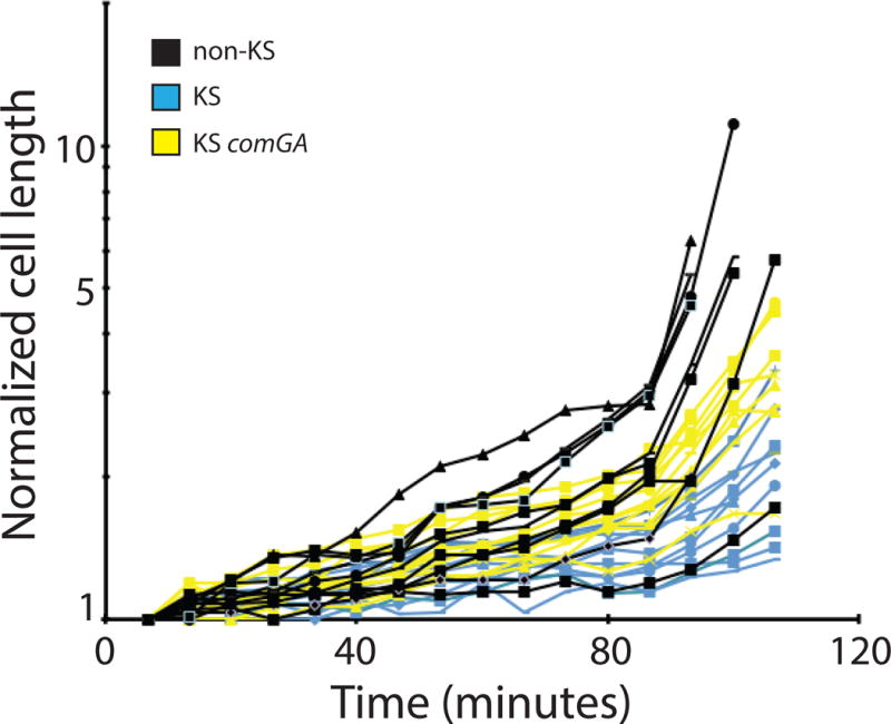 Fig. 2