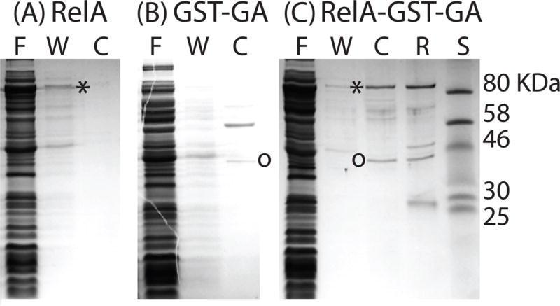 Fig. 8