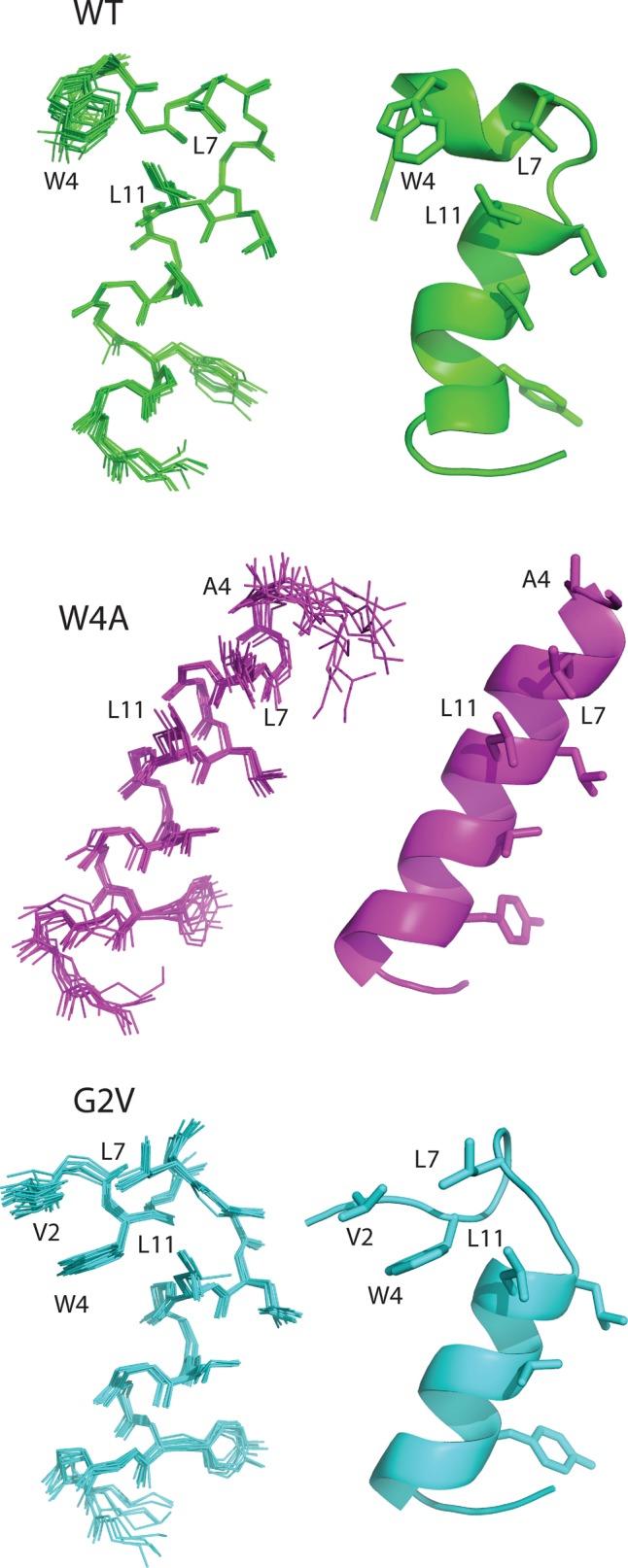 FIGURE 4: