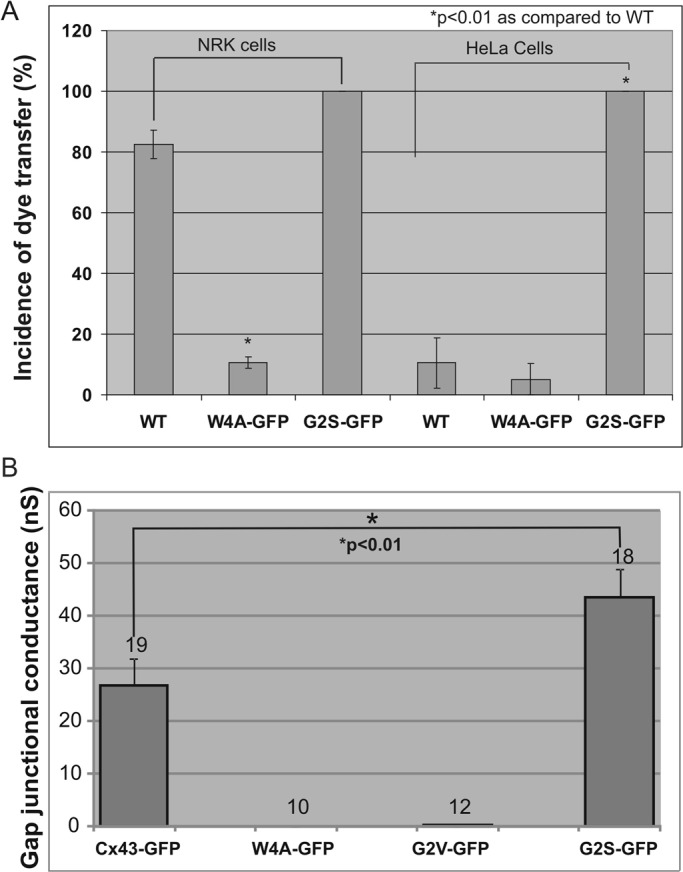 FIGURE 6: