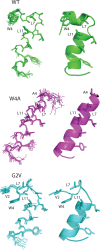 FIGURE 4: