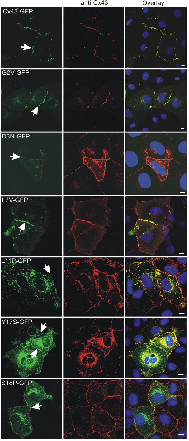 FIGURE 1: