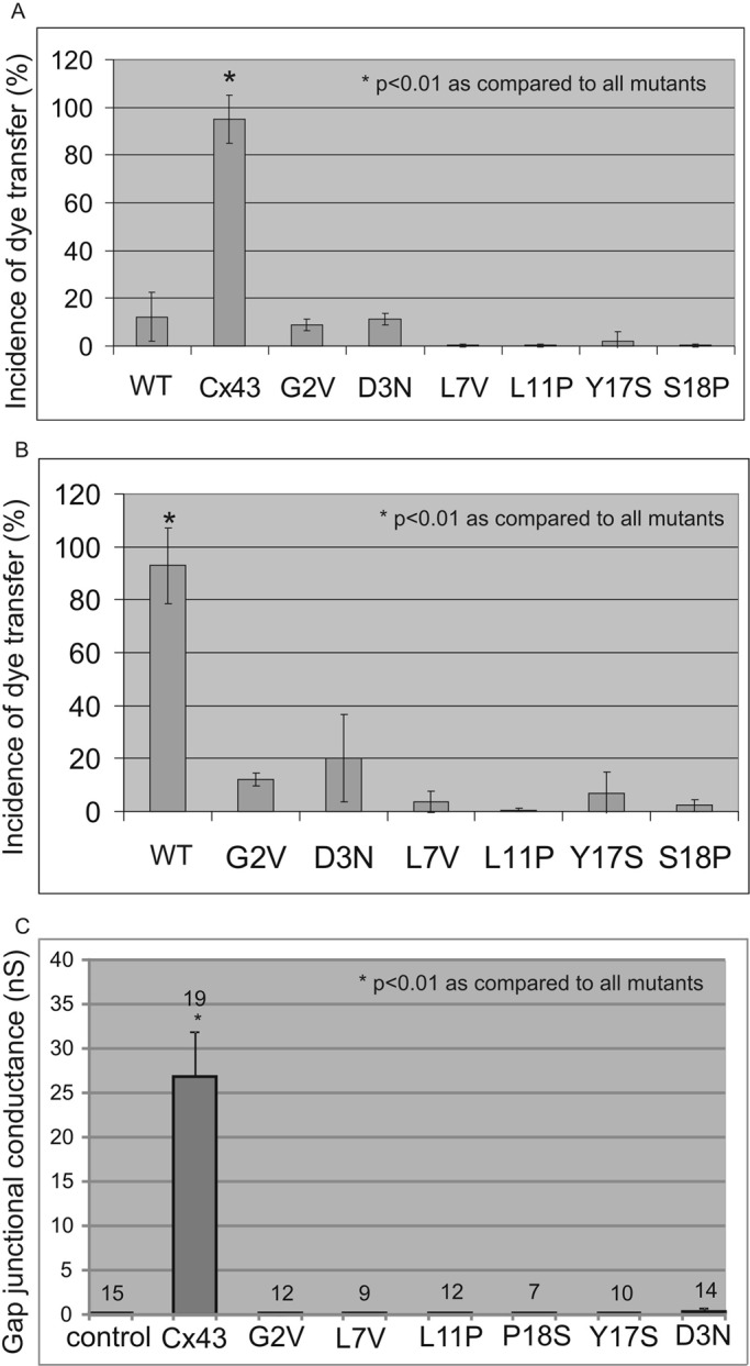 FIGURE 3: