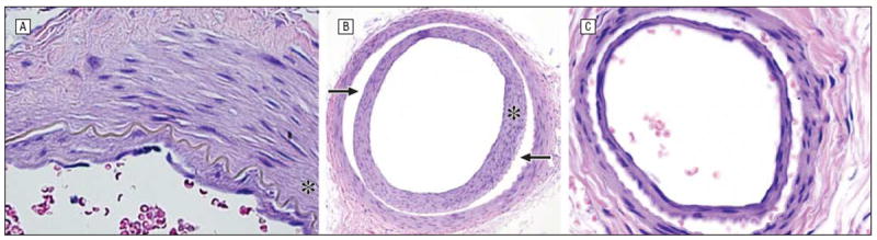 Figure 8