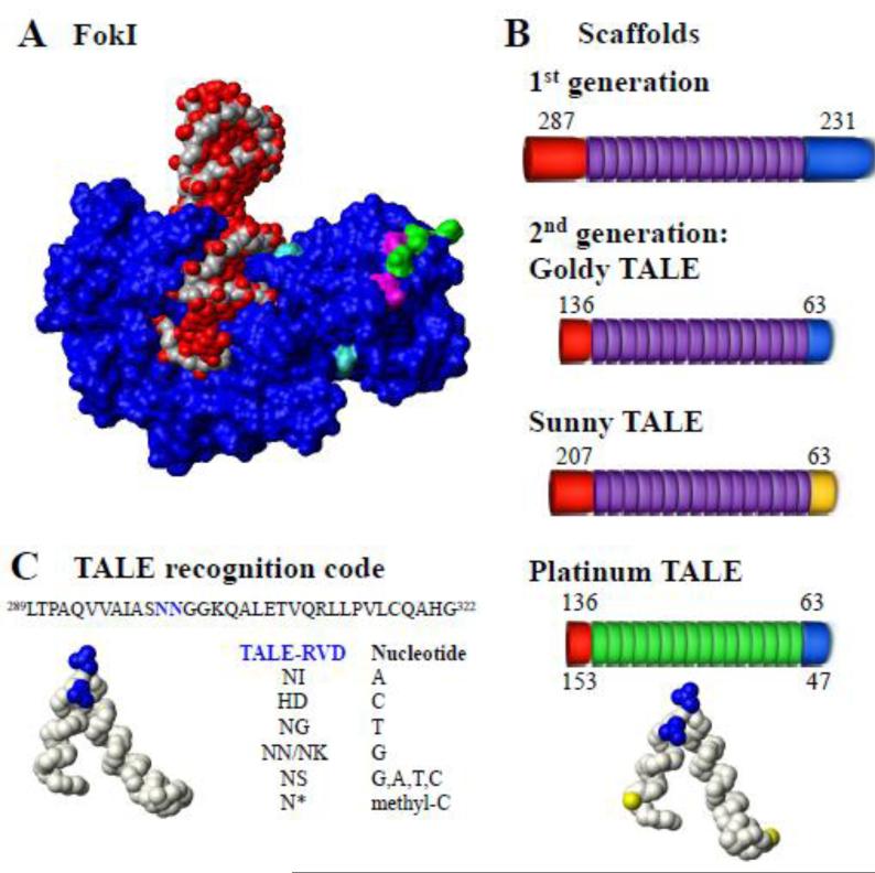 Fig. 3