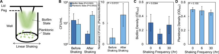 FIG 1