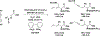 Scheme 3.