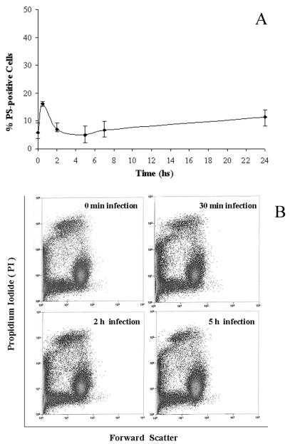 FIG. 1.