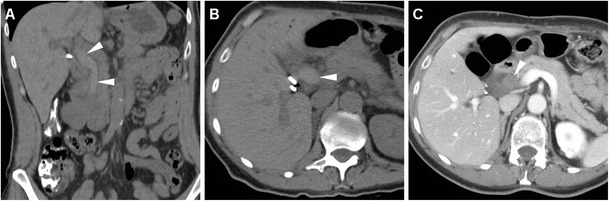 Fig. 8