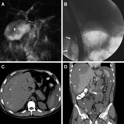 Fig. 10