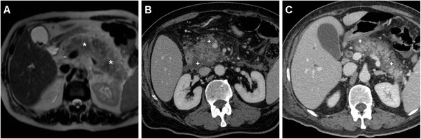 Fig. 6