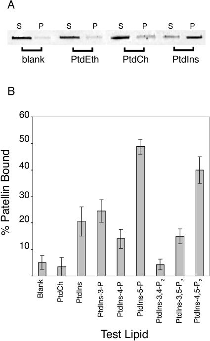 Figure 5.