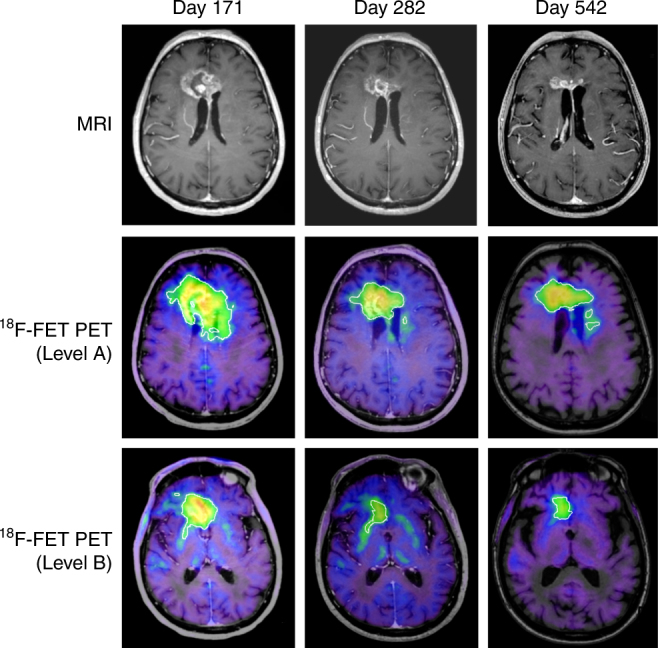 Fig. 6