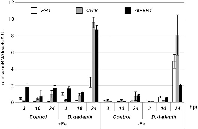 Figure 5