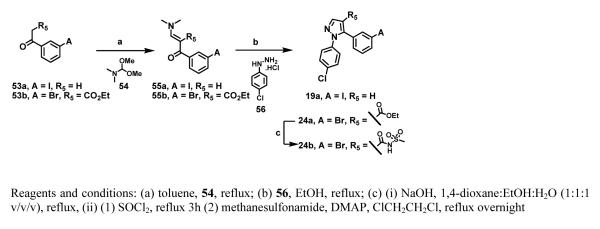 Scheme 4