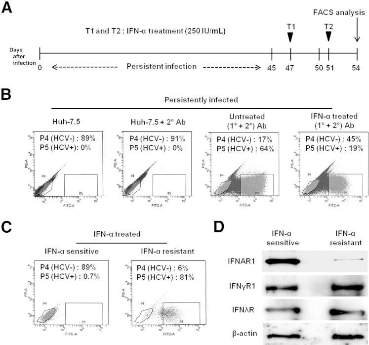 Figure 6