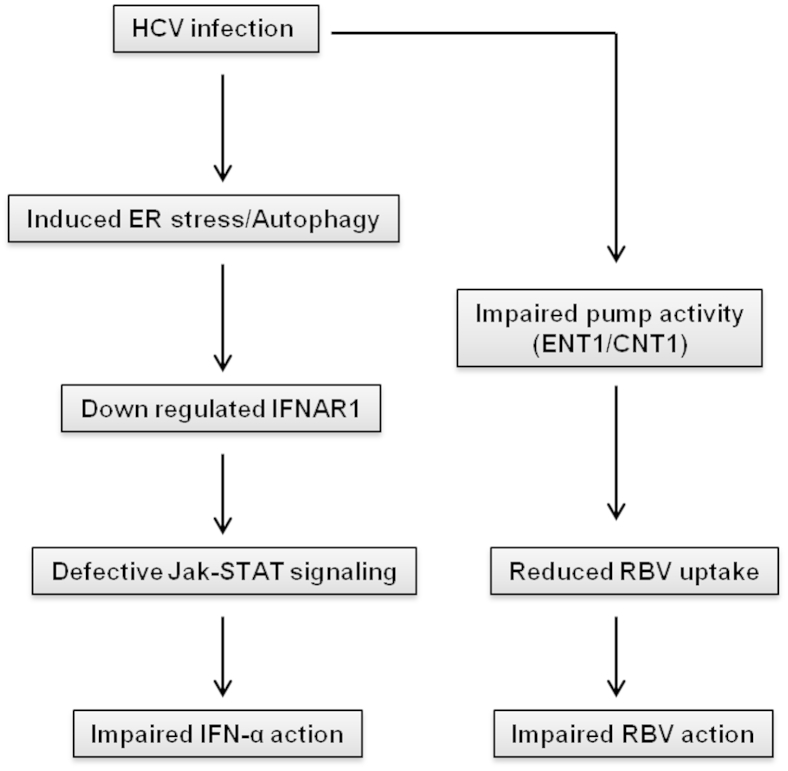 Figure 10