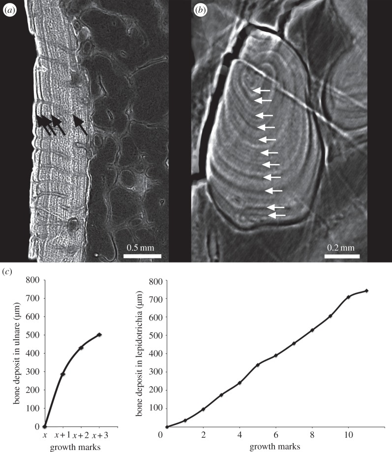 Figure 4.