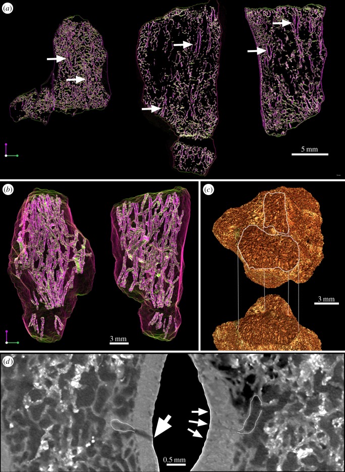 Figure 3.