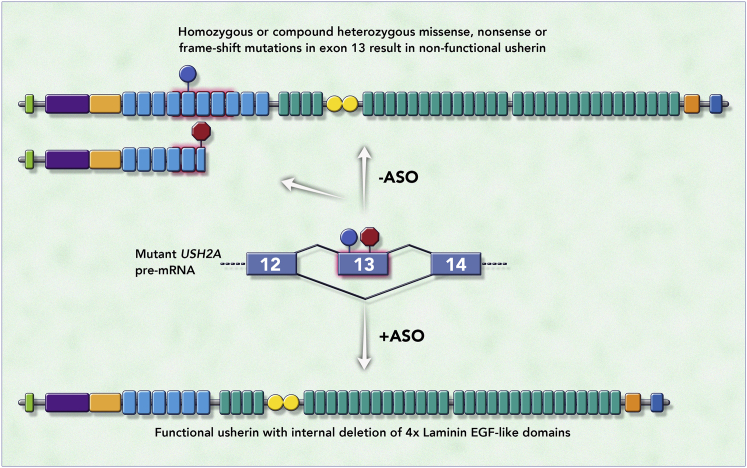 Figure 7