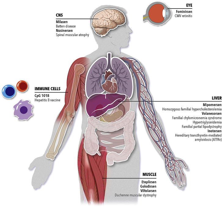 Figure 6