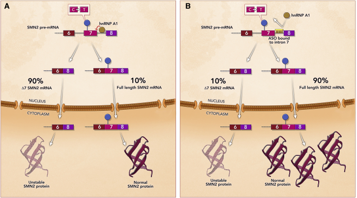 Figure 3