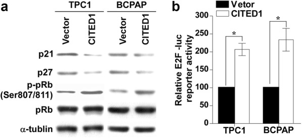 Fig. 6