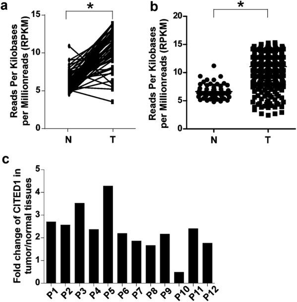 Fig. 1