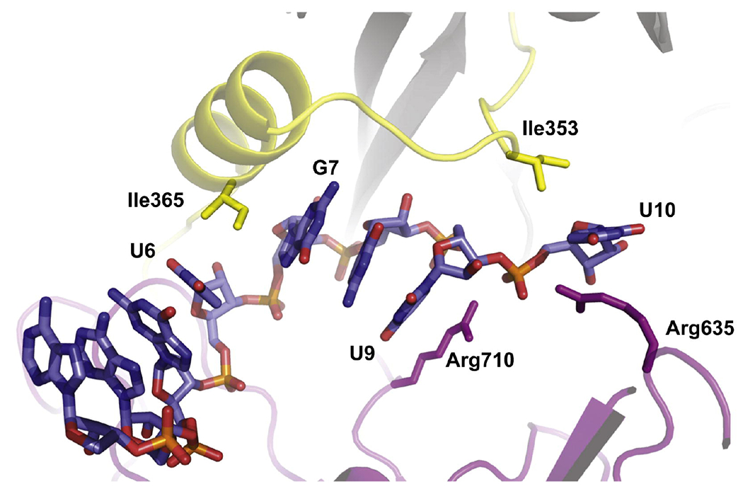 Figure 4.