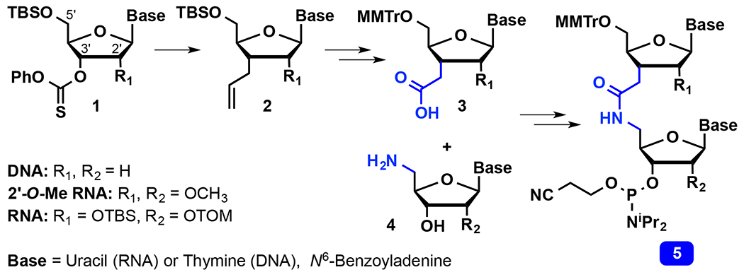 Scheme 1.