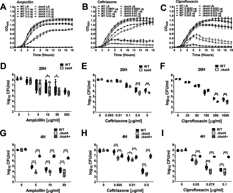 FIG 6