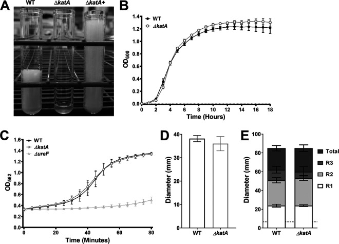 FIG 1