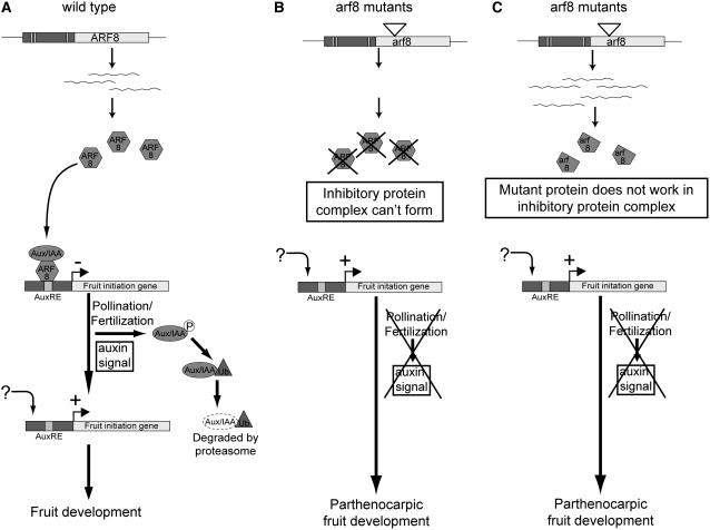 Figure 6.