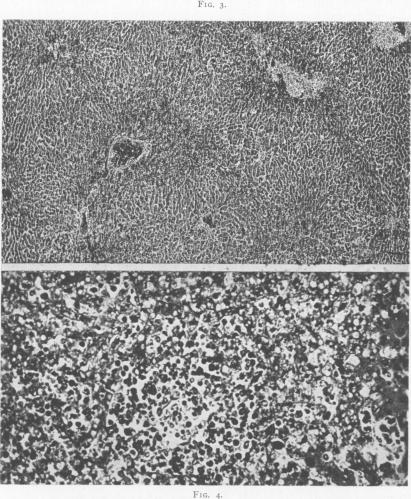 Fig. 3., Fig. 4.