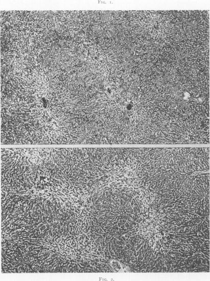 Fig. 1., Fig. 2.