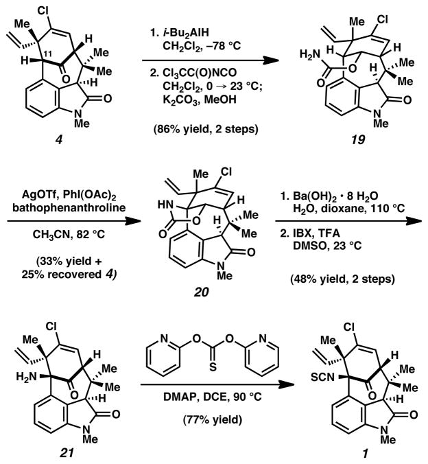 Scheme 4