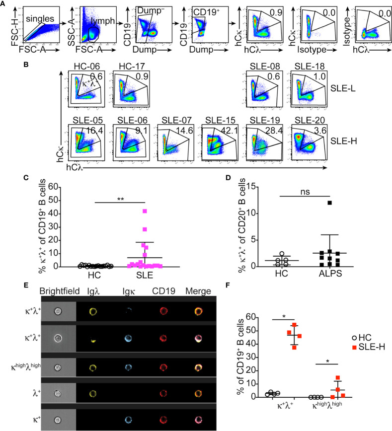 Figure 2