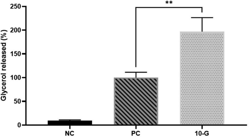 The bar graph showing glycerol release (%) in three groups: NC (negative control), PC (positive control) and 10-G (10-gingerol treated group). The 10-G group exhibits significantly higher glycerol release compared to the PC group (**p < 0.01), while the NC group shows minimal glycerol release.