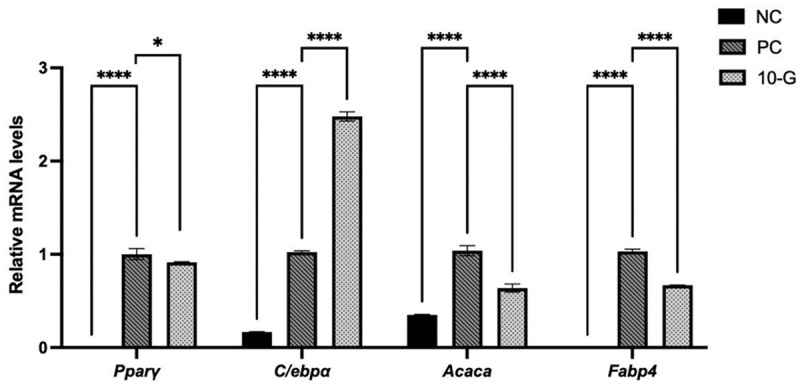 The bar chart displaying relative mRNA levels for four genes: Pparγ, Cebpα, Acaca and Fabp4 across three experimental groups (NC, PC, 10-G). Each bar represents one of these groups, with NC in solid black, PC in diagonal stripes and 10-G in dotted patterns. Significant differences between the conditions are indicated by asterisks, where * represents p < 0.05, ** represents p < 0.01, *** represents p < 0.001, and **** represents p < 0.0001. Specifically, the mRNA levels of Pparγ and Acaca are lower, while the levels of C/ebpα and Fabp4 are significantly higher in the 10-G group compared to the NC group.